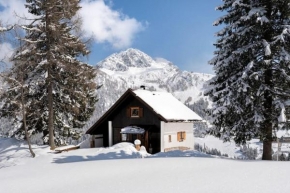 Gemütliche Skihütte an der Piste